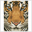 cross stitch pattern Bengal Tiger (Colour)
