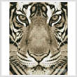 cross stitch pattern Bengal Tiger (Sepia)