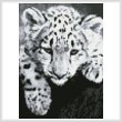 cross stitch pattern Mini Snow Leopard Cub