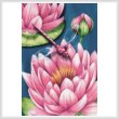 cross stitch pattern Pink Waterlilies