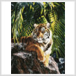 cross stitch pattern Sumatran Tigress