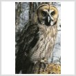 cross stitch pattern Owl Photo (Crop)