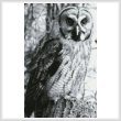 cross stitch pattern Owl Photo Black and White (Crop)