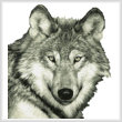cross stitch pattern Wolf Close Up (No Background)
