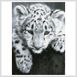 cross stitch pattern Snow Leopard Cub