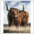 cross stitch pattern Highland Bull (Crop)