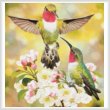 cross stitch pattern Hummingbird Challenger