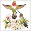 cross stitch pattern Hummingbird Challenger (No Background)