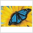 cross stitch pattern Mini Blue Monarch Sunflower