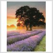 cross stitch pattern Mayfair Lavender at Sunrise (Crop)