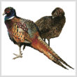 cross stitch pattern Pheasants (No Background)