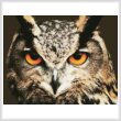 cross stitch pattern Owl Close Up