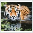 cross stitch pattern Tiger in Swamp (Large Crop)