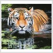 cross stitch pattern Tiger in Swamp (Crop)