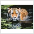 cross stitch pattern Tiger in Swamp (Large)