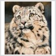 cross stitch pattern Mini Snow Leopard 6