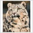 cross stitch pattern Snow Leopard 6 (Large)