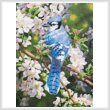 cross stitch pattern Blue Jay in Apple Blossoms (Crop)