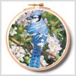 cross stitch pattern Blue Jay in Apple Blossoms Hoop (Ex Lrg)