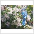 cross stitch pattern Blue Jay in Apple Blossoms