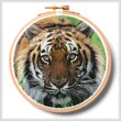 cross stitch pattern Bengal Tiger in Grass Hoop (Extra Large)