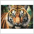 cross stitch pattern Mini Tiger Close Up Portrait