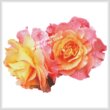 new cross stitch pattern - Roses in a Garden (No Background)