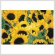 new cross stitch pattern - Sunflowers Photo