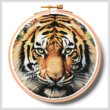 cross stitch pattern Tiger Close Up Portrait Hoop (Extra Lrg)