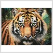 cross stitch pattern Tiger Close Up Portrait (Large)