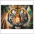 cross stitch pattern Tiger Close Up Portrait