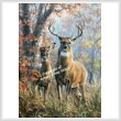 cross stitch pattern Forest Monarch