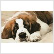 cross stitch pattern Mini St Bernard Photo