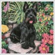 cross stitch pattern Mini Scottish Terrier in a Garden