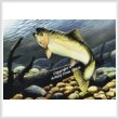 new cross stitch pattern - Rainbow Trout Swimming