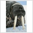 cross stitch pattern Wally (Large)