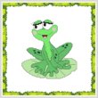 cross stitch pattern Funny Frog Lily Pad
