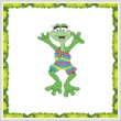 cross stitch pattern Funny Frog Swimsuit